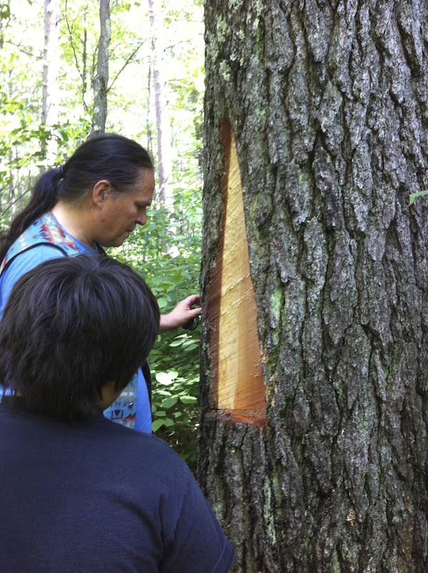 Wayne Valliere demonstrating pine cut to ENVISION student