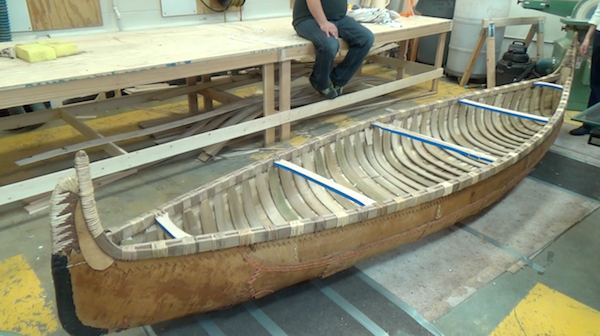 The canoe has now acquired its rounded shape, or "belly"