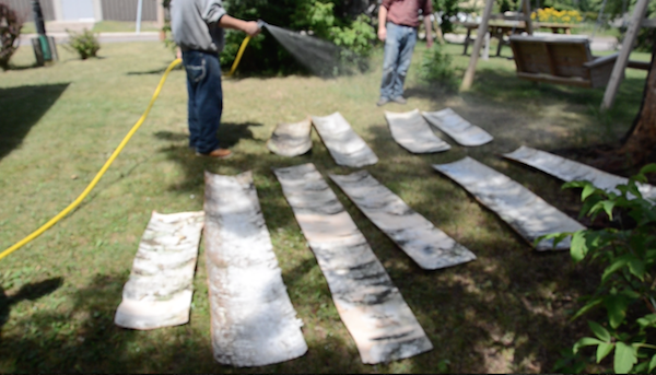 pieces of bark laid out to be sprayed with garden hose