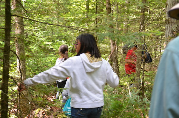 ENGAGE students in forest looking for cedar trees to harvest