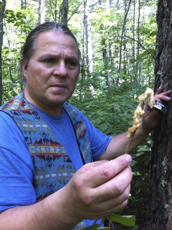 Wayne displaying harvested sap