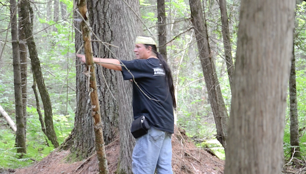 pointing at a cedar to cut