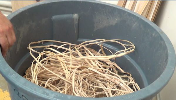 roots in barrel soaking