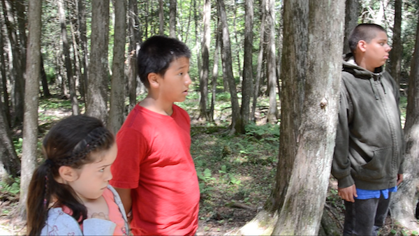 students watching cutting of trees