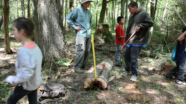 using wedge to split cedar log