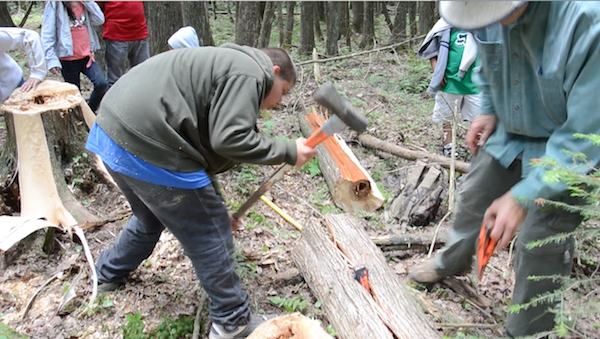 further splitting of log with wedge and sledge hammer